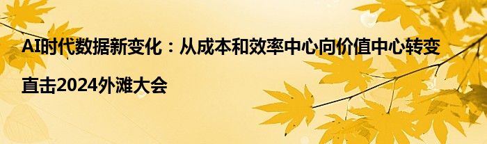 AI时代数据新变化:从成本和效率中心向价值中心转变|直击2024外滩大会