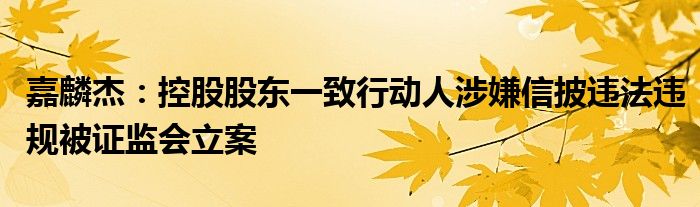 嘉麟杰:控股股东一致行动人涉嫌信披违法违规被证监会立案