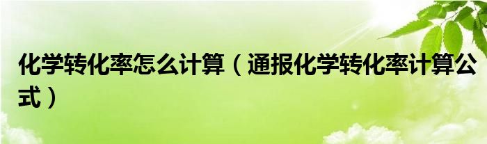 化学转化率怎么计算(通报化学转化率计算公式)