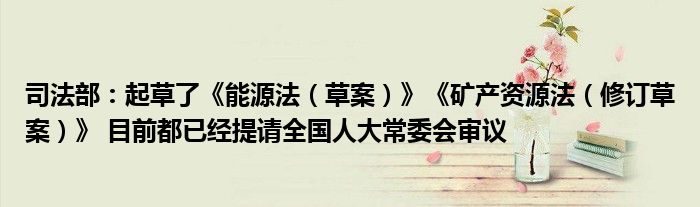 司法部:起草了《能源法(草案)》《矿产资源法(修订草案)》 目前都已经提请全国人大常委会审议