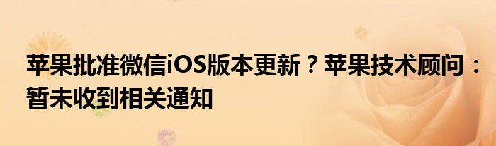 苹果批准微信iOS版本更新?苹果技术顾问:暂未收到相关通知