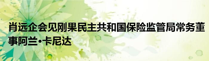 肖远企会见刚果民主共和国保险监管局常务董事阿兰·卡尼达