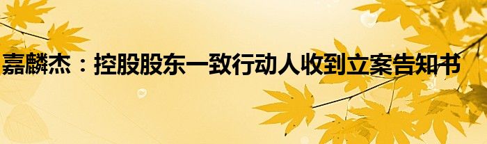 嘉麟杰:控股股东一致行动人收到立案告知书