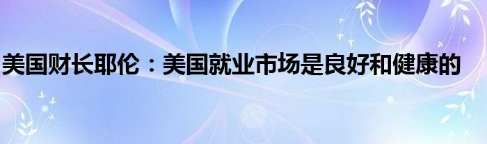 美国财长耶伦:美国就业市场是良好和健康的