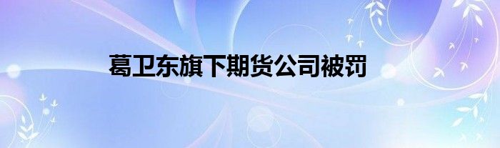 葛卫东旗下期货公司被罚