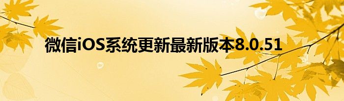 微信iOS系统更新最新版本8.0.51