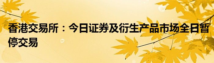 香港交易所:今日证券及衍生产品市场全日暂停交易