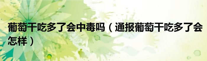 葡萄干吃多了会中毒吗(通报葡萄干吃多了会怎样)
