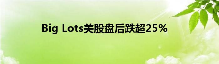 Big Lots美股盘后跌超25%
