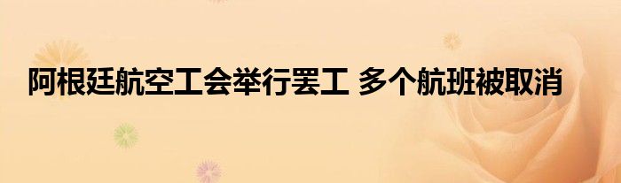 阿根廷航空工会举行罢工 多个航班被取消