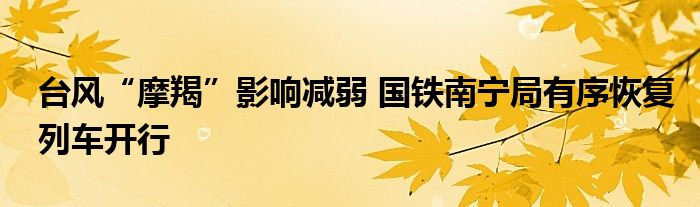 台风“摩羯”影响减弱 国铁南宁局有序恢复列车开行