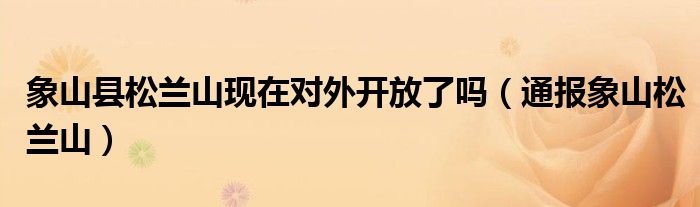 象山县松兰山现在对外开放了吗(通报象山松兰山)