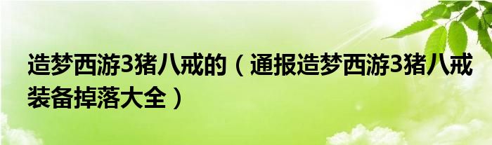 造梦西游3猪八戒的(通报造梦西游3猪八戒装备掉落大全)