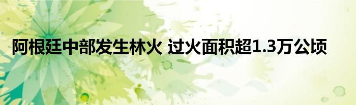 阿根廷中部发生林火 过火面积超1.3万公顷