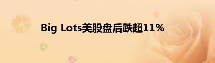 Big Lots美股盘后跌超11%