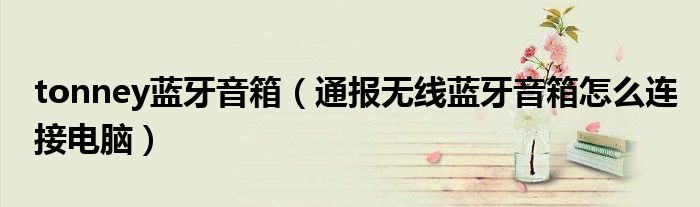 tonney蓝牙音箱(通报无线蓝牙音箱怎么连接电脑)