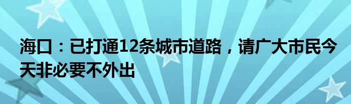 海口:已打通12条城市道路,请广大市民今天非必要不外出