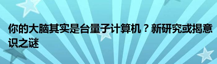 你的大脑其实是台量子计算机?新研究或揭意识之谜