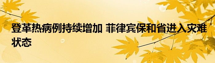 登革热病例持续增加 菲律宾保和省进入灾难状态