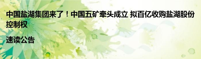 中国盐湖集团来了!中国五矿牵头成立 拟百亿收购盐湖股份控制权|速读公告