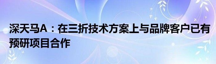 深天马A:在三折技术方案上与品牌客户已有预研项目合作