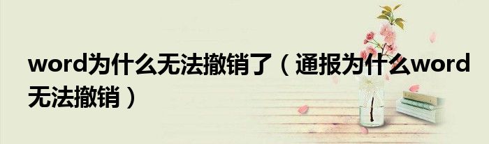 word为什么无法撤销了(通报为什么word无法撤销)