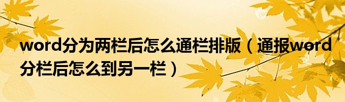 word分为两栏后怎么通栏排版(通报word分栏后怎么到另一栏)