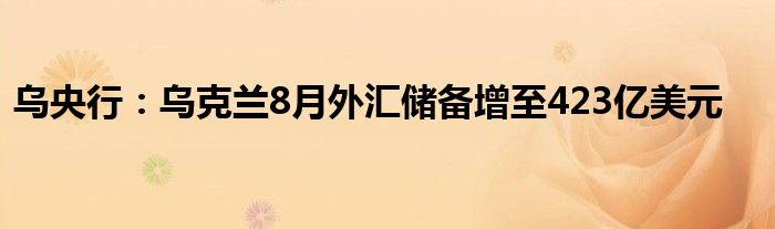 乌央行:乌克兰8月外汇储备增至423亿美元