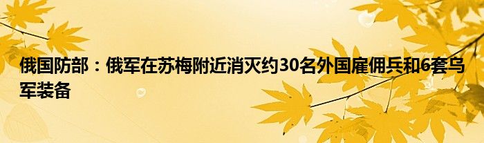俄国防部:俄军在苏梅附近消灭约30名外国雇佣兵和6套乌军装备