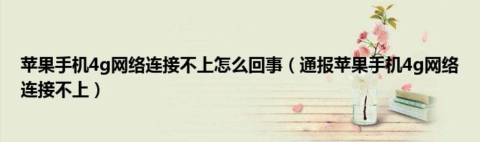 苹果手机4g网络连接不上怎么回事(通报苹果手机4g网络连接不上)