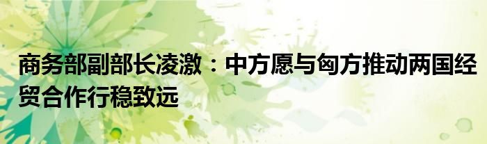 商务部副部长凌激:中方愿与匈方推动两国经贸合作行稳致远