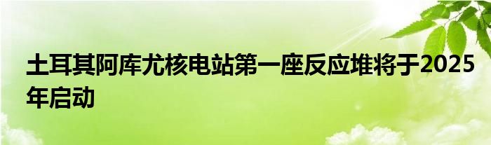 土耳其阿库尤核电站第一座反应堆将于2025年启动