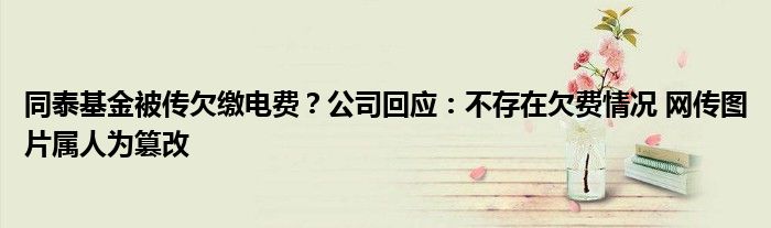 同泰基金被传欠缴电费?公司回应:不存在欠费情况 网传图片属人为篡改
