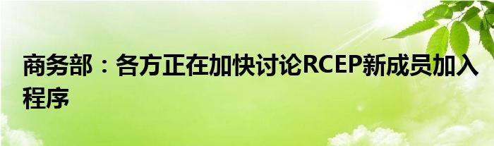 商务部:各方正在加快讨论RCEP新成员加入程序