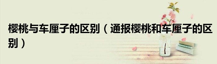樱桃与车厘子的区别(通报樱桃和车厘子的区别)