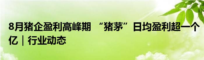 8月猪企盈利高峰期 “猪茅”日均盈利超一个亿|行业动态