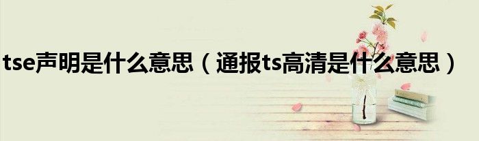 tse声明是什么意思(通报ts高清是什么意思)