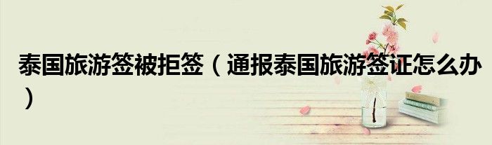泰国旅游签被拒签(通报泰国旅游签证怎么办)