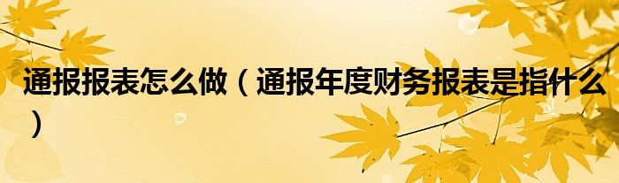 通报报表怎么做(通报年度财务报表是指什么)