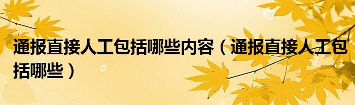通报直接人工包括哪些内容(通报直接人工包括哪些)
