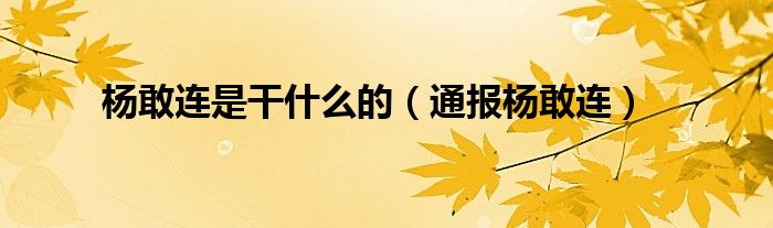 杨敢连是干什么的(通报杨敢连)