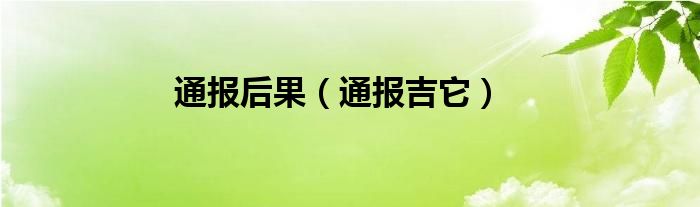通报后果（通报吉它）