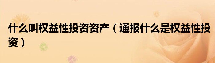 什么叫权益性投资资产(通报什么是权益性投资)