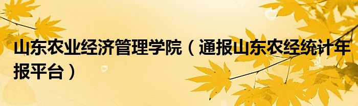 山东农业经济管理学院(通报山东农经统计年报平台)