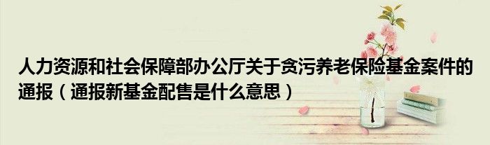 人力资源和社会保障部办公厅关于贪污养老保险基金案件的通报(通报新基金配售是什么意思)