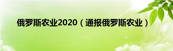 俄罗斯农业2020(通报俄罗斯农业)