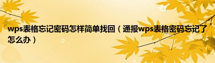 wps表格忘记密码怎样简单找回(通报wps表格密码忘记了怎么办)