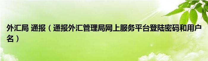 外汇局 通报(通报外汇管理局网上服务平台登陆密码和用户名)