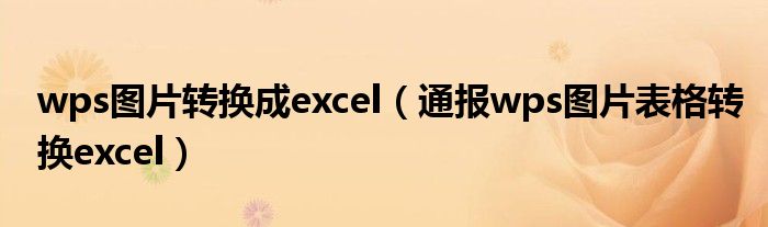 wps图片转换成excel(通报wps图片表格转换excel)