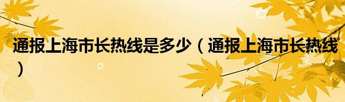 通报上海市长热线是多少(通报上海市长热线)